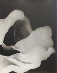 Untitled (flowing abstraction), 1950